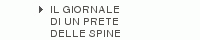 IL GIORNALE |DI UN PRETE |DELLE SPINE